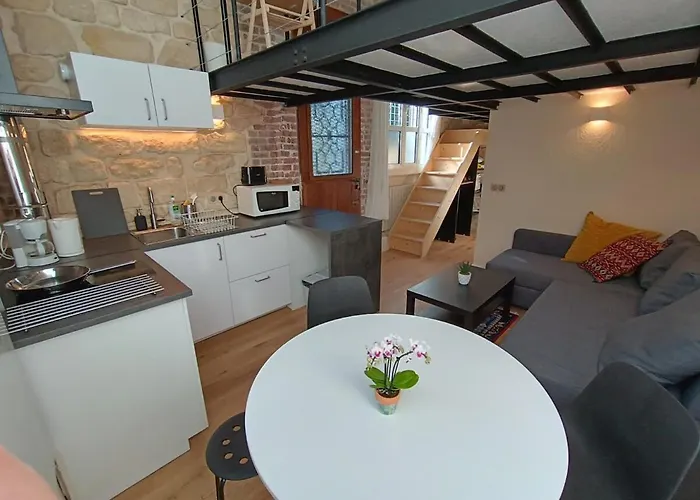 Bright With Equipped Kitchen And Mezzanine Appartement Parijs